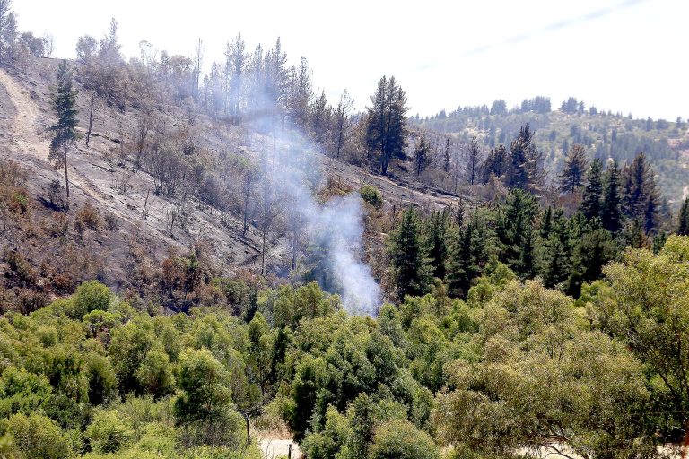 Comuna de Maule sigue en Alerta Roja  e incendio se encuentra contenido