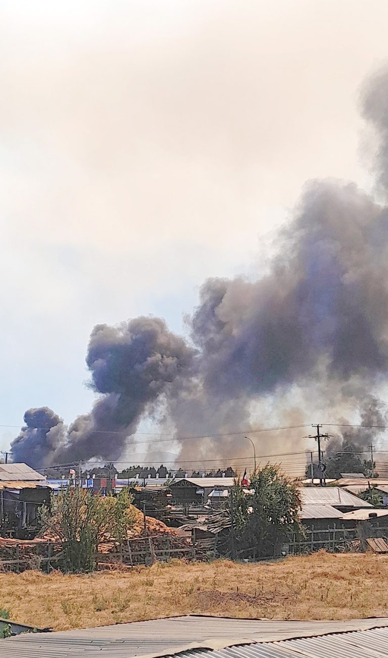 Incendios han arrasado más de 2.800 hectáreas en un  mes en la Región del Maule