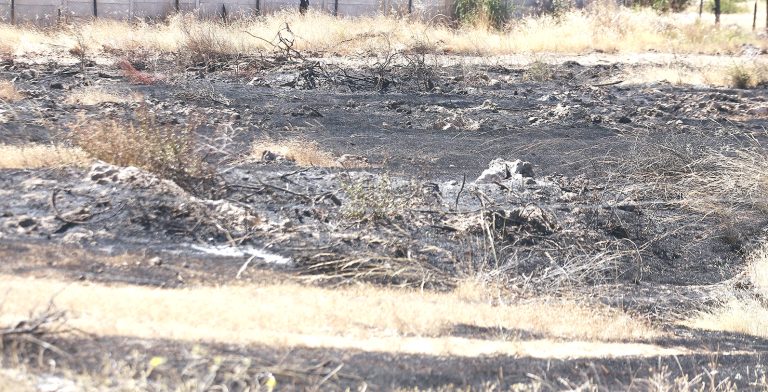 Dos personas fueron formalizadas ayer por delito culposo de incendio