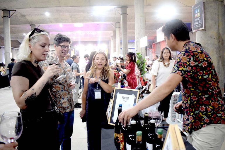 Vino maulino se lució en Noche del Carmenere con  más de mil degustadores de los exquisitos mostos