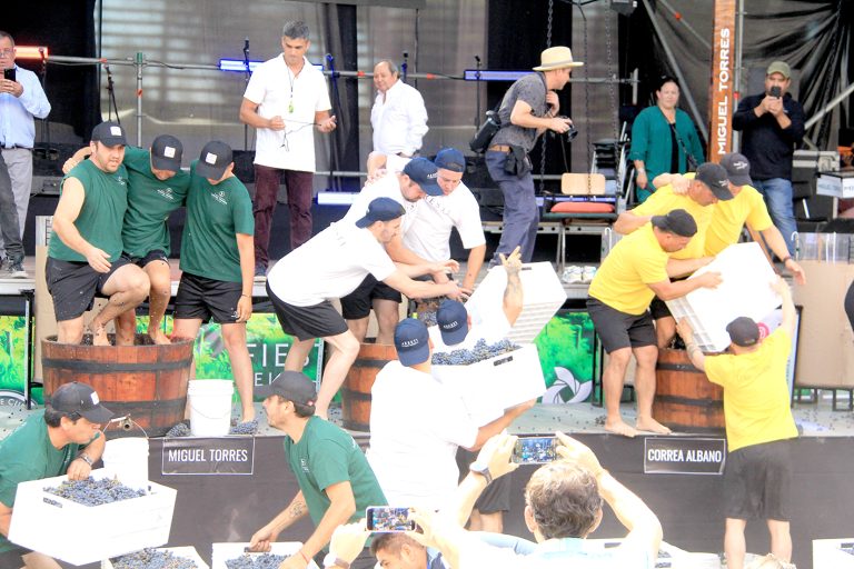 Fiesta de la Vendimia de Curicó ya tiene fecha: será  entre el 20 al 22 de marzo