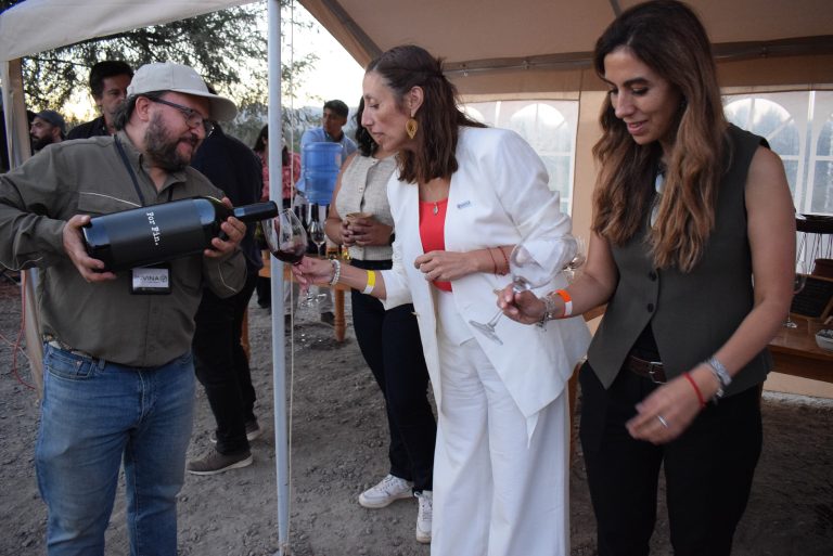 Programa busca impulsar el enoturismo en el Maule