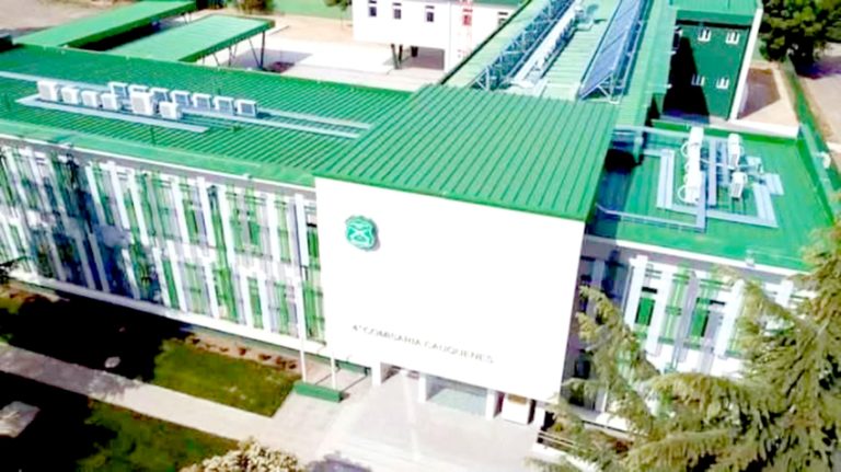 Formalizarán a seis carabineros por muerte de joven bajo custodia en Cauquenes