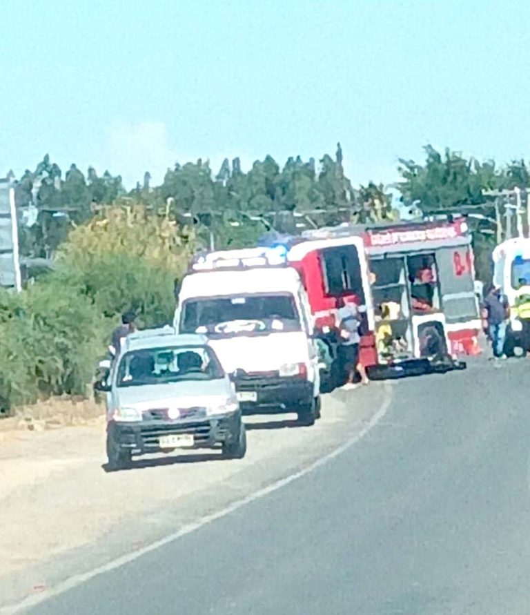 Dos fallecidos deja colisión frontal  en el camino Cauquenes-Chanco