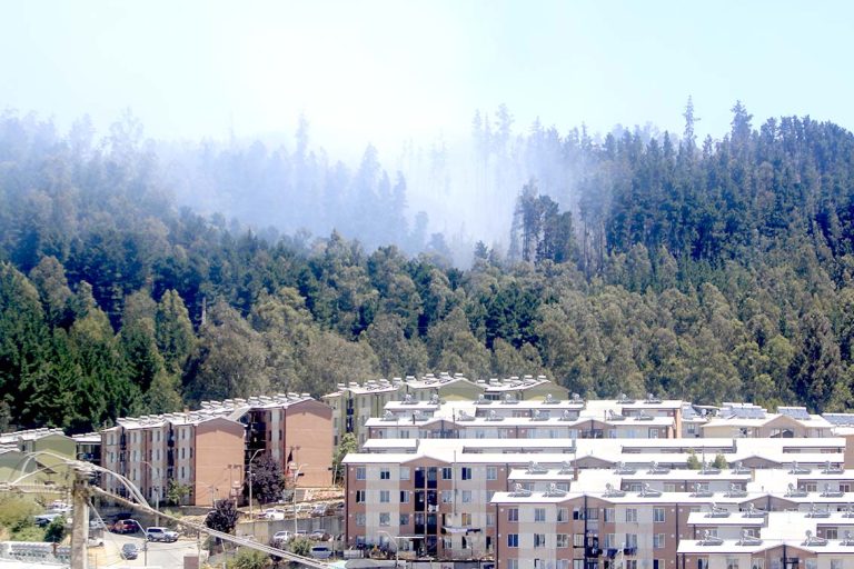 Temporada 2025-26 ha registrado 474 incendios que han arrasado con 3.800 hectáreas en la Región del Maule