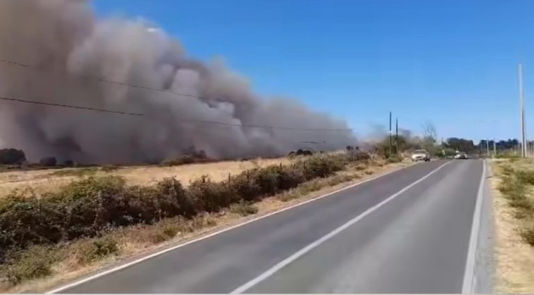 Así se veían las llamas cuando inició el incendio, que, hasta la hora del cierre de esta nota, se seguía enfrentando tanto por bomberos como por Conaf.
