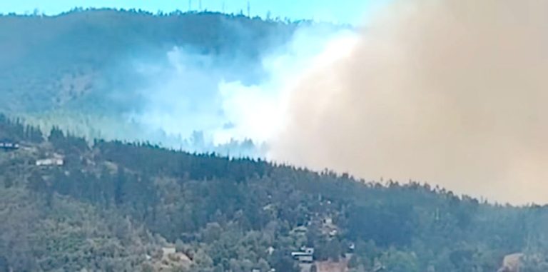 Alerta Roja y un herido deja incendio en Llico