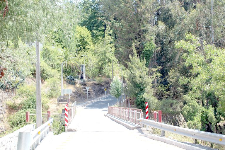 Encuentro chileno-argentino del Paso Vergara  será el sábado 21 de febrero en Los Queñes
