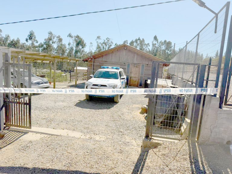 Hombre mató a su pareja e hirió gravemente al hijo de  ella y terminó quitándose la vida en sector de Licantén