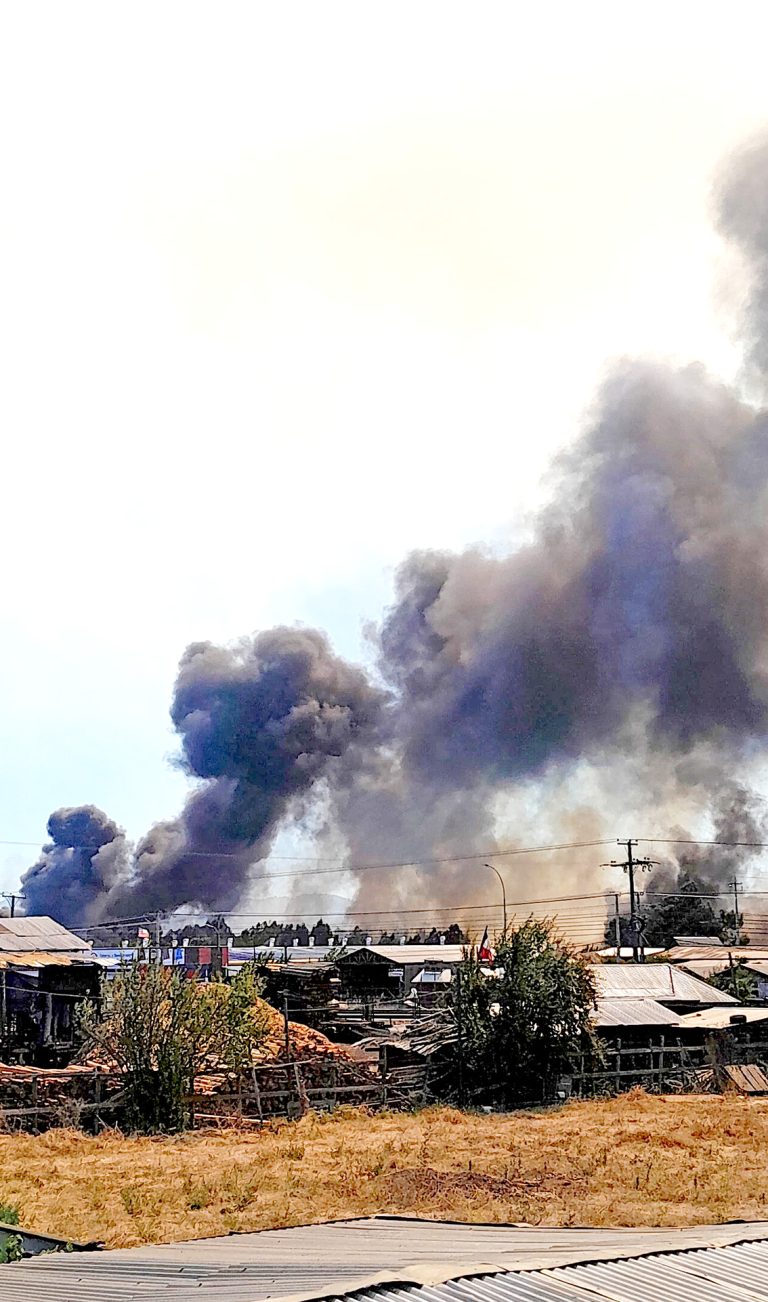 En sectores de la Región de Maule las temperaturas máximas llegarán a 36° durante el fin de semana