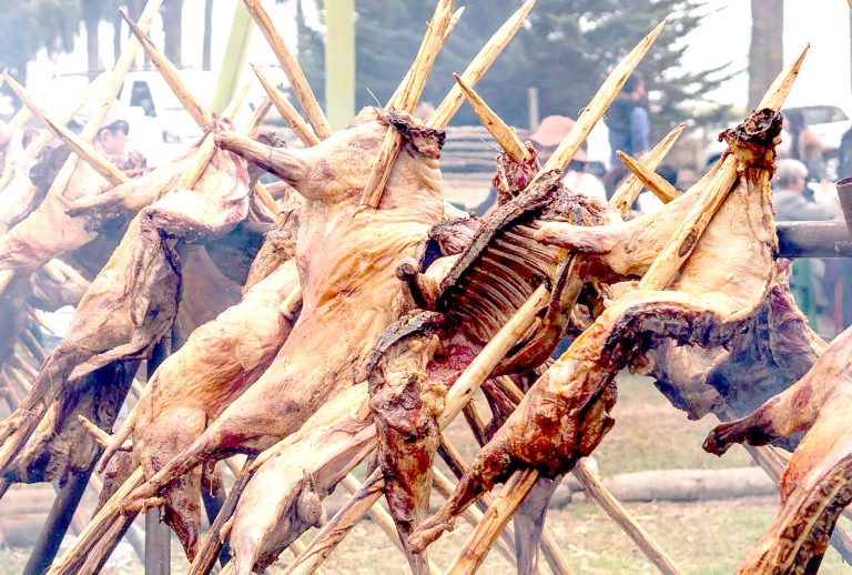 Más de 5 mil personas llegaron a disfrutar de la Fiesta Cordero al Faro en sector sur de Constitución