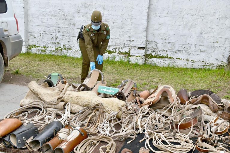 Investigan millonario robo de aperos